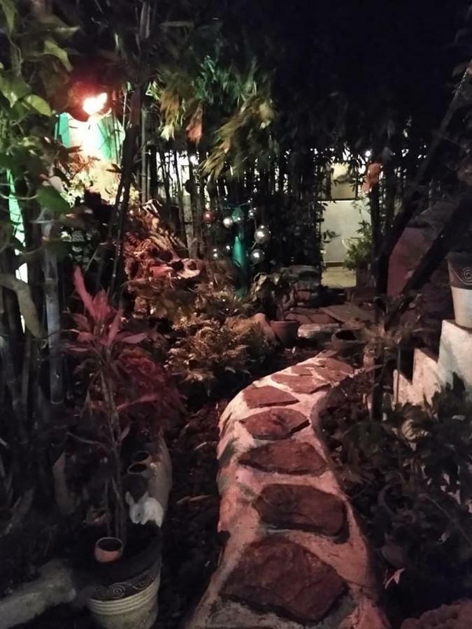 Mi Aldea Holistica 호텔 멕시코 시 외부 사진